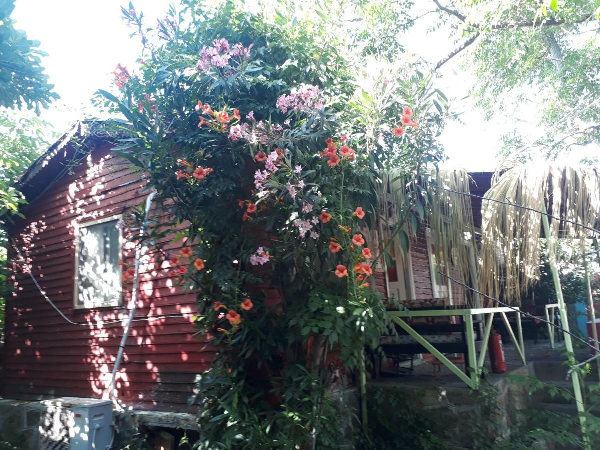 Side Tuana Garden Home Dış mekan fotoğraf